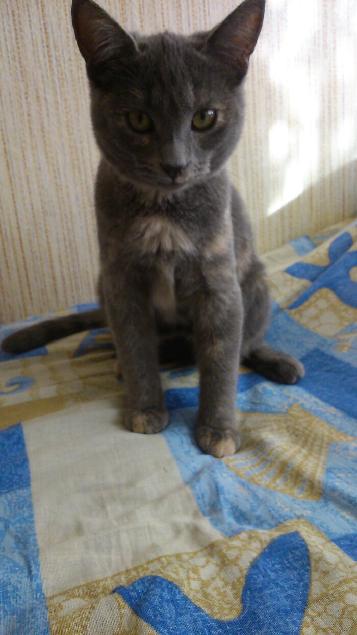 Она же подросшая)