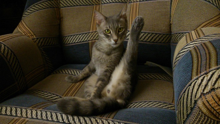 Ну и хоба вам от Марса :D