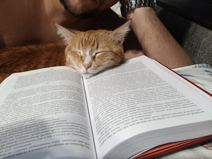 ������ ����� ����)