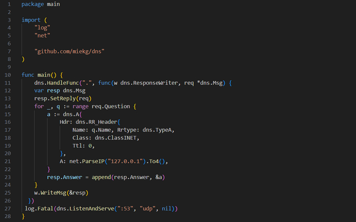 DNS- (/ch-5/a_server/main.go)