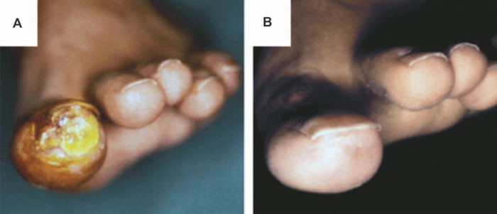 ������� 7 |������� ������� �� ���� ������� ���������