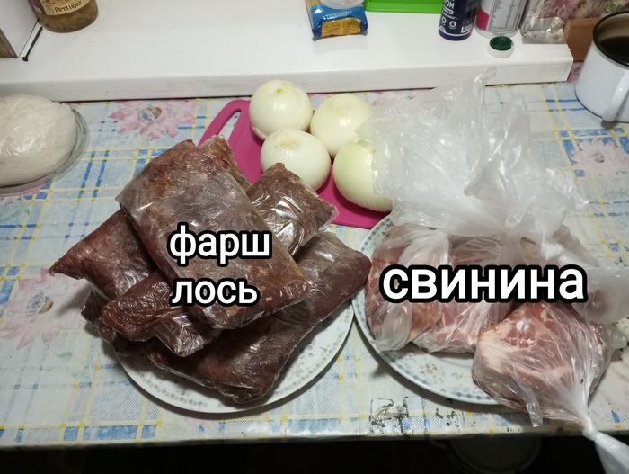     .  19. ,    , , , , , , , 