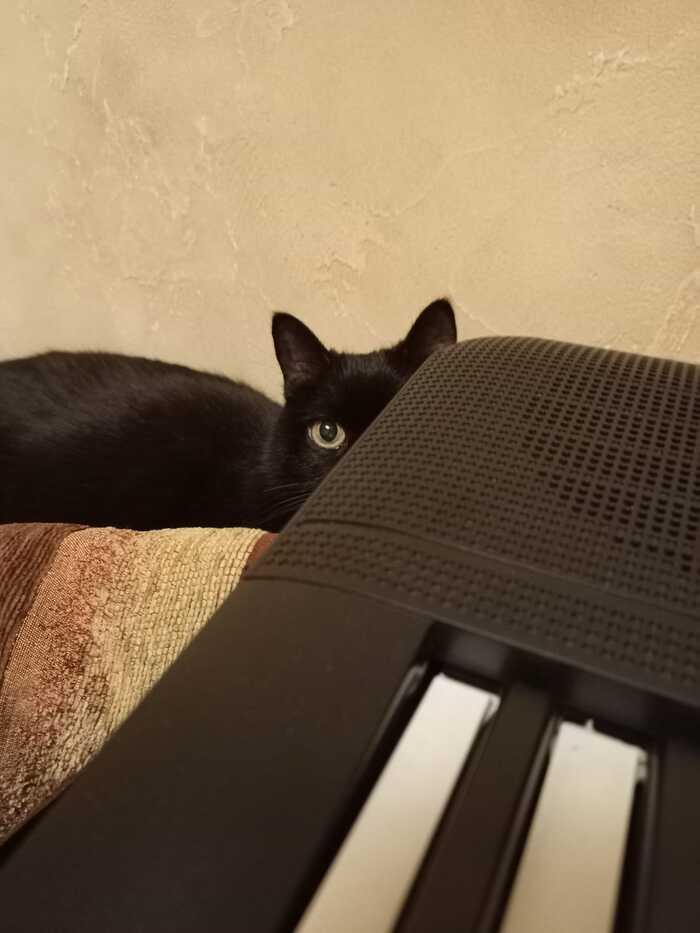 Мамкина помощница