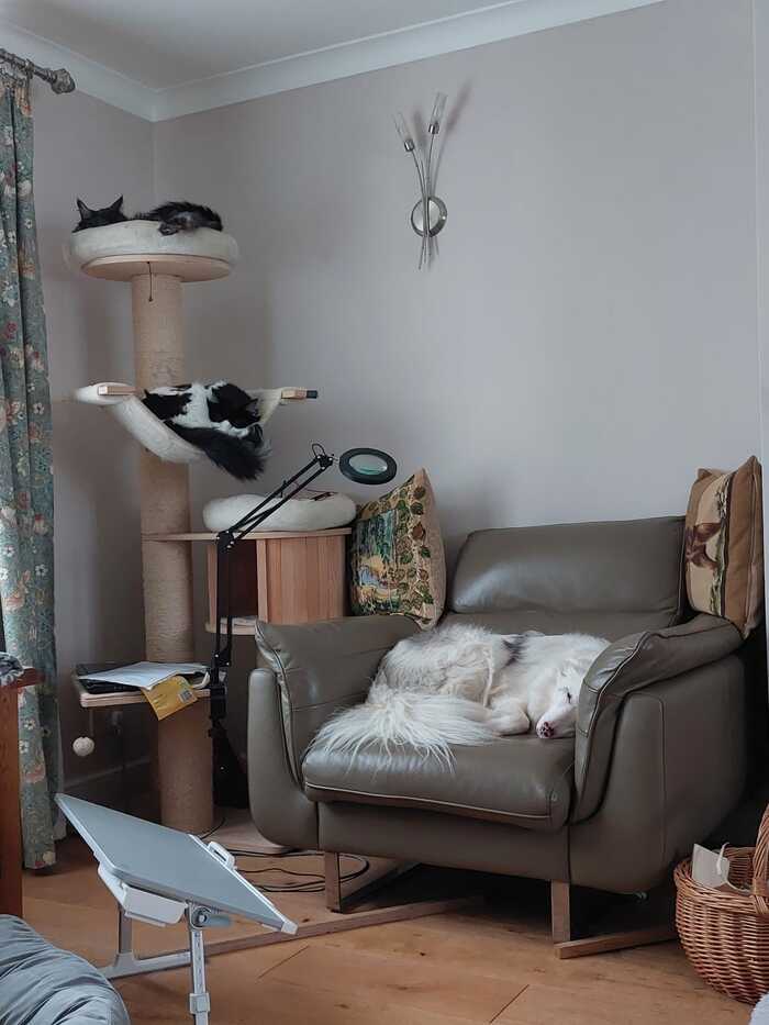 ����������, ������� � ����