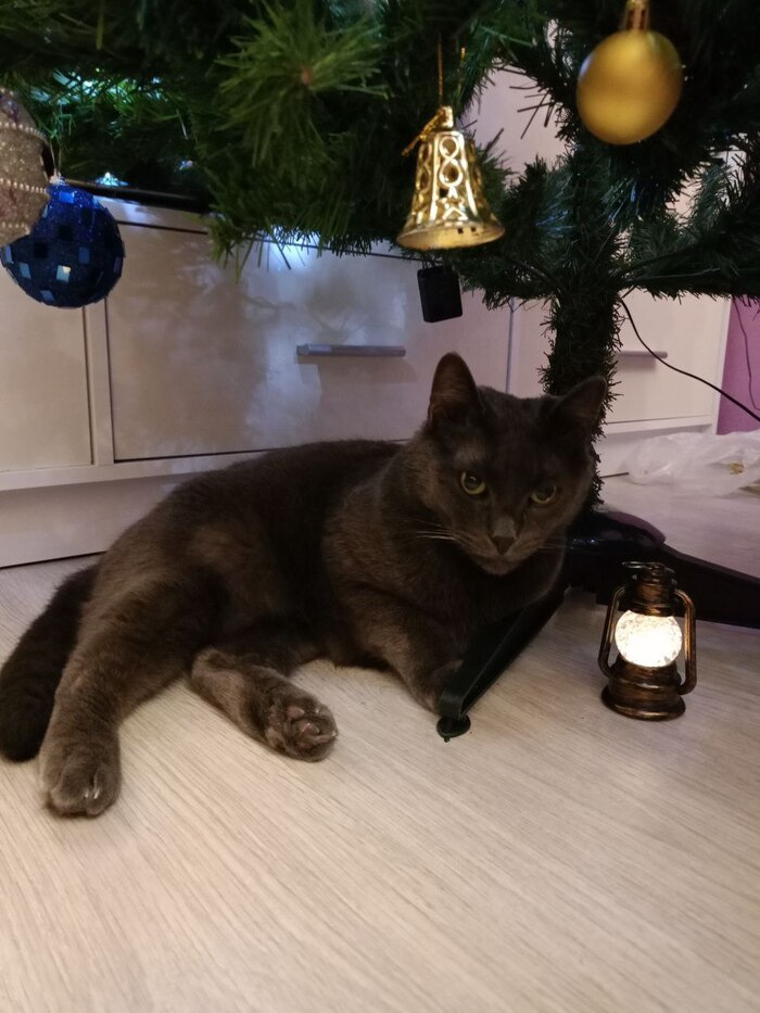 �������������� ���������