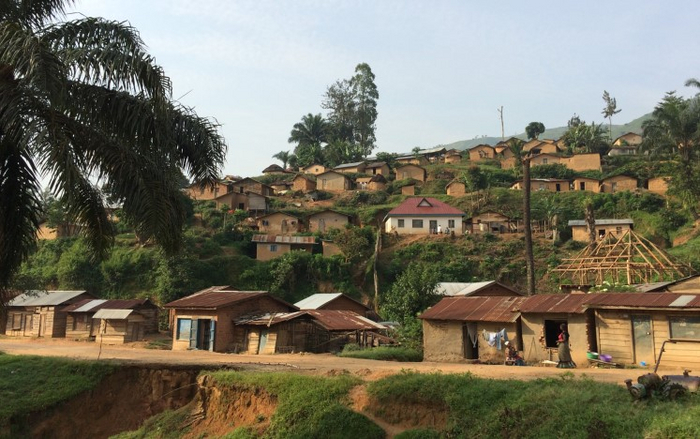 Буламбика, 2015