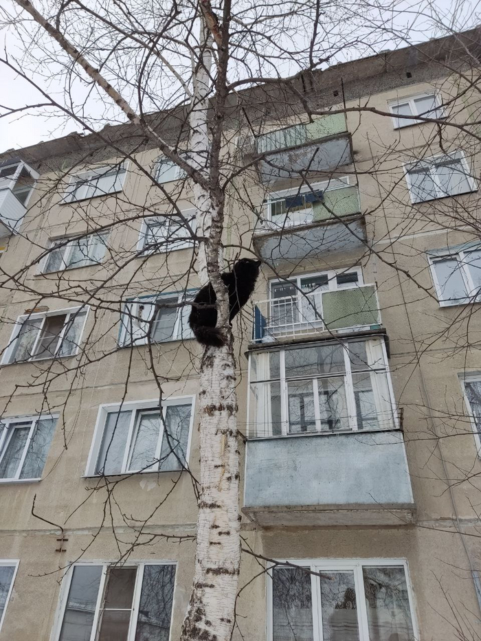   ,  , ,  
