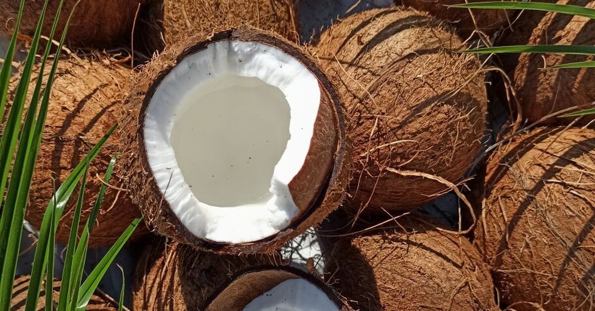 Coconut alcohol