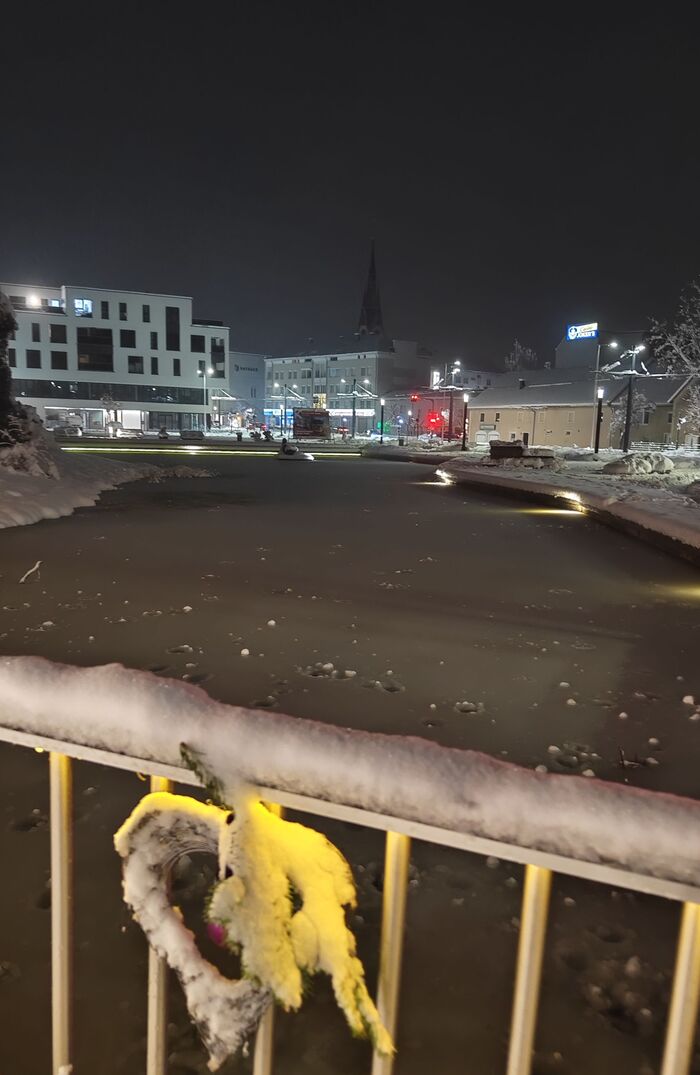 В Линце несколько рынков. Наиболее необычнный, на мой взгляд, в замке Траун. Замок обнесен рвом с водой, который почти замерз