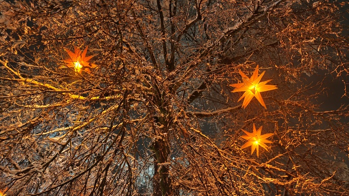 РОжденственнские звезды