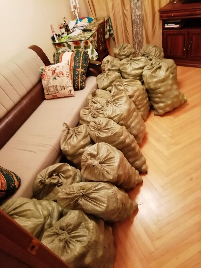   .   ,   .      ,      ,    20     :