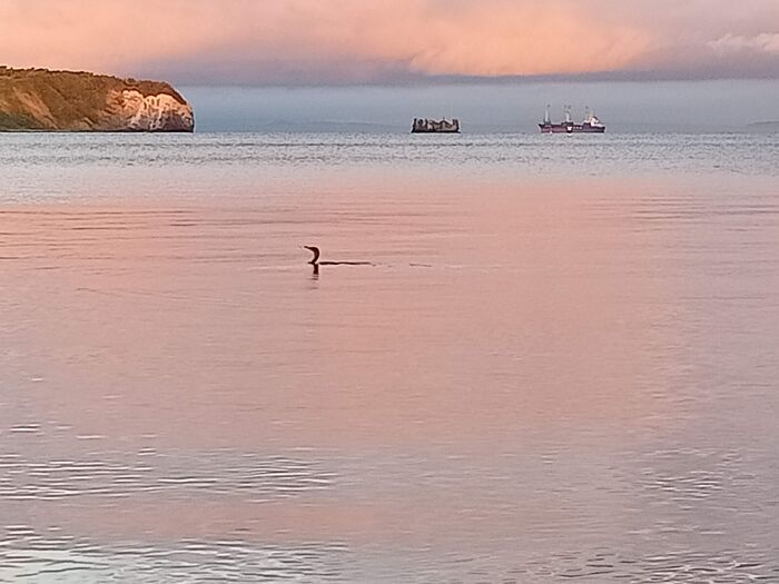 Рассветное утро. Амурский залив
