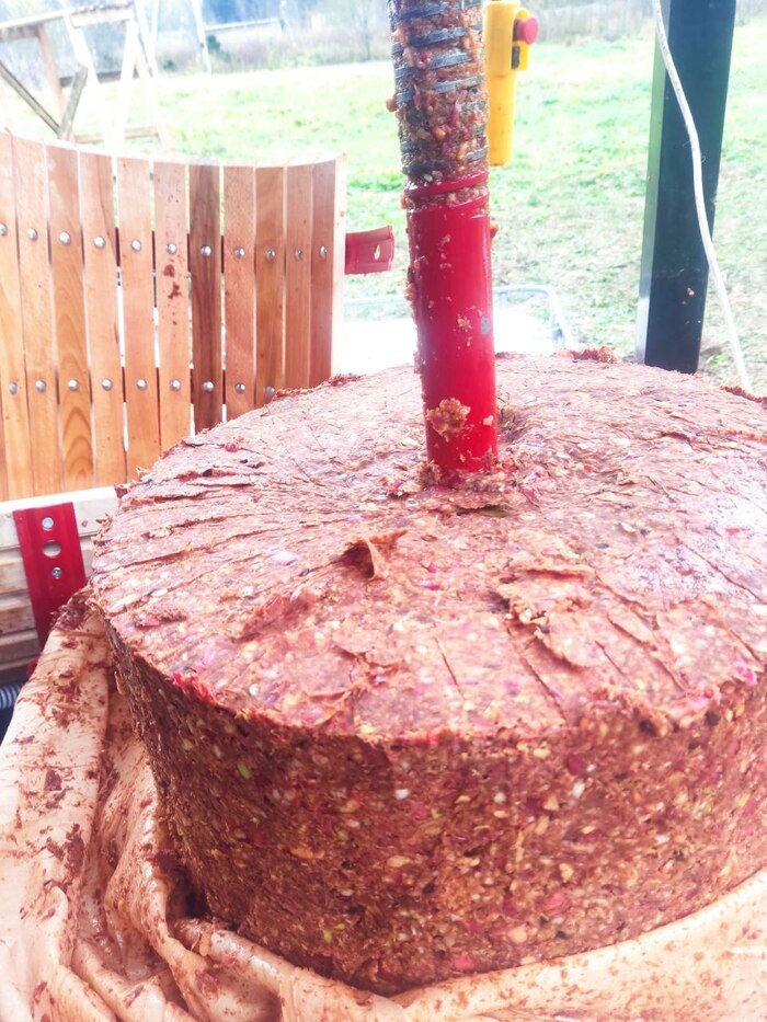 ,   ,    5 .      2-3   ,      96 ,    30%.     ,   .