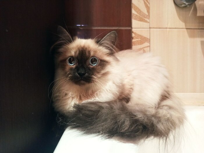 �� � ��� ����� �����