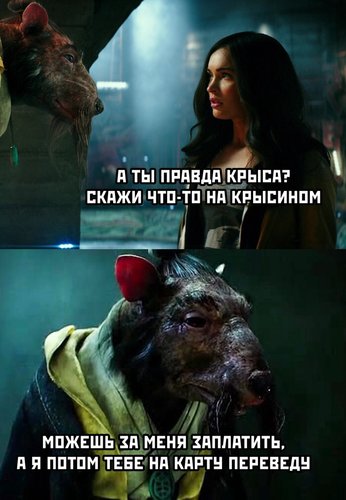 ����� �������� ���� � �������