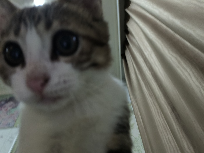 Селфи для Пикабутян:3