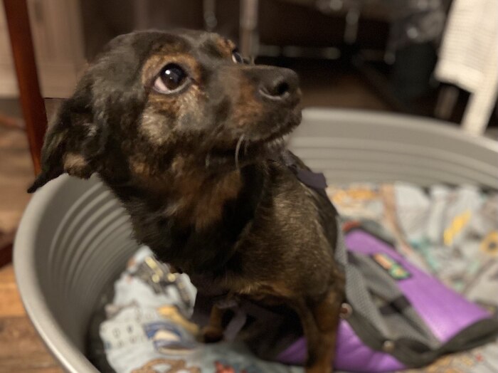 ���� �� ���������� � ������������ ��� ����.