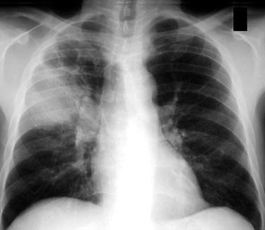 02 -     (,,  ,    .).