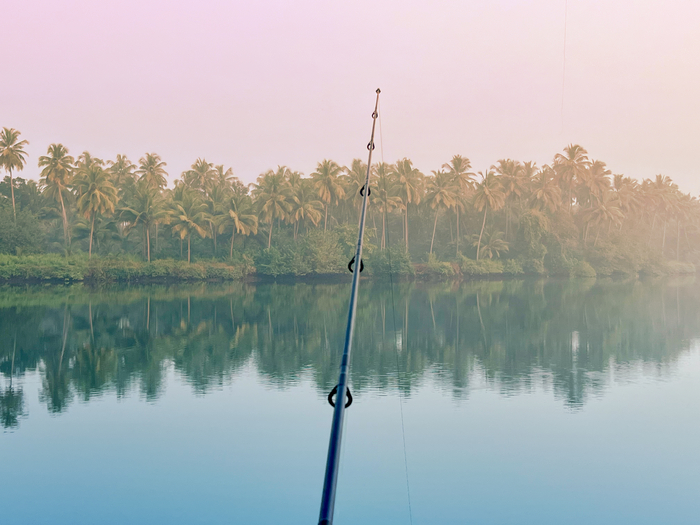 ������ ����