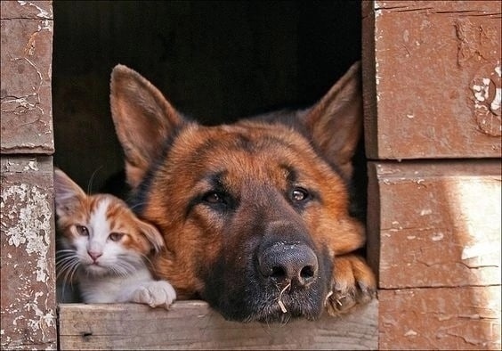 ������ ���� � �����