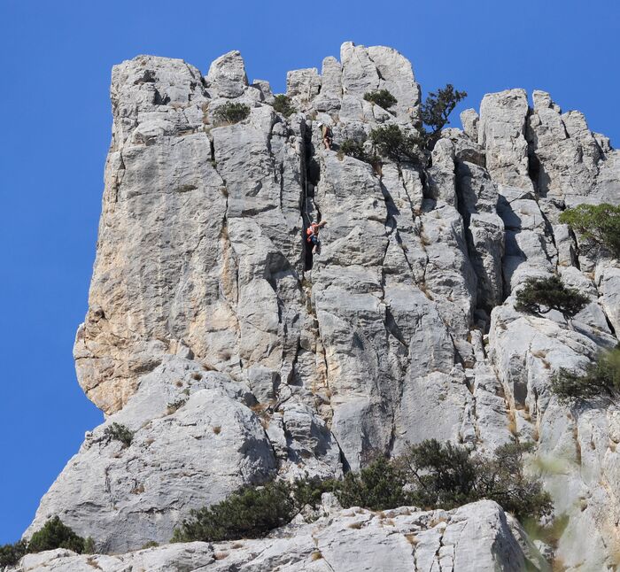 ����������� �� �. ����� � �������