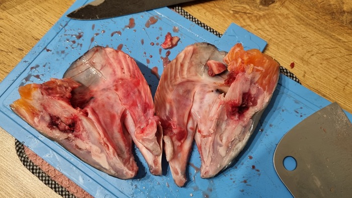 Кто знает, что из этого мозг - пишите в комментах, а то я в анатомии рыб не силен. Разрубил вдоль и всё.