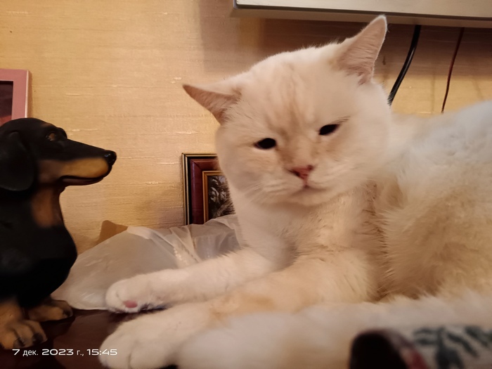 "И не смотри на меня так, ничтожество"