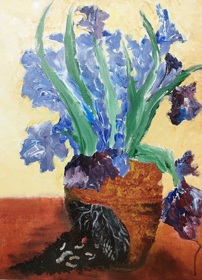 Ирисы
