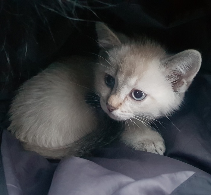 � ���� ������ ������ � ������� ������� �� ���������.