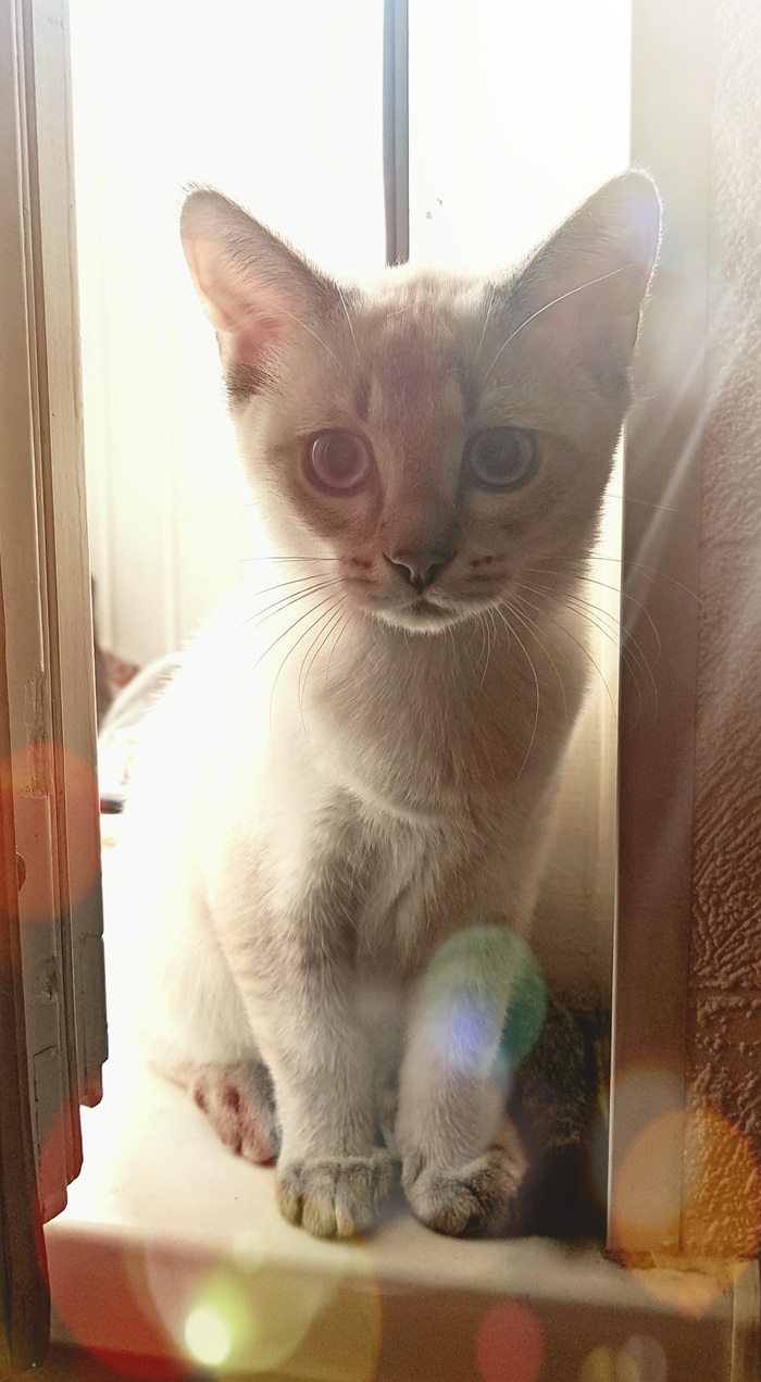 � ������������ �������� ������, �� ��� �����.