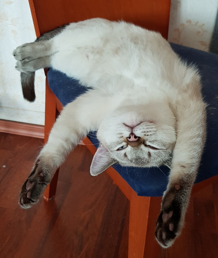 ������� ������� ����� - ����������� ���, ����� ����� ����� �� ���� ��� �� ������� ����.