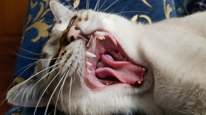 ������ � �����.