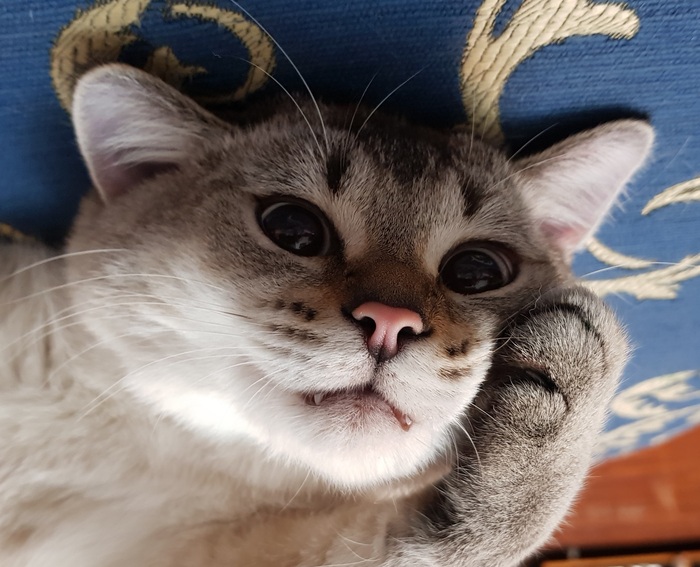 ����� ���������� �������, �� ��������������.