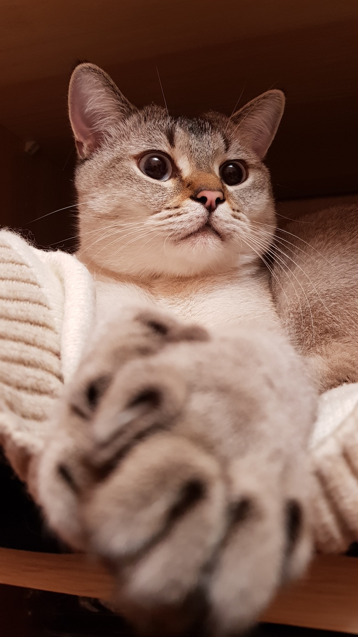 ������� �������� ��������� �� ����� � ������ � ��� ���������� - ������ ���� ������ ����������� ����.