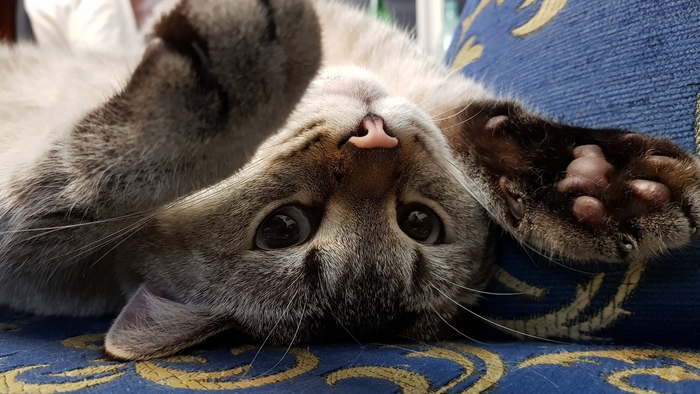 ��� ��� ������, ��� ��� �����.