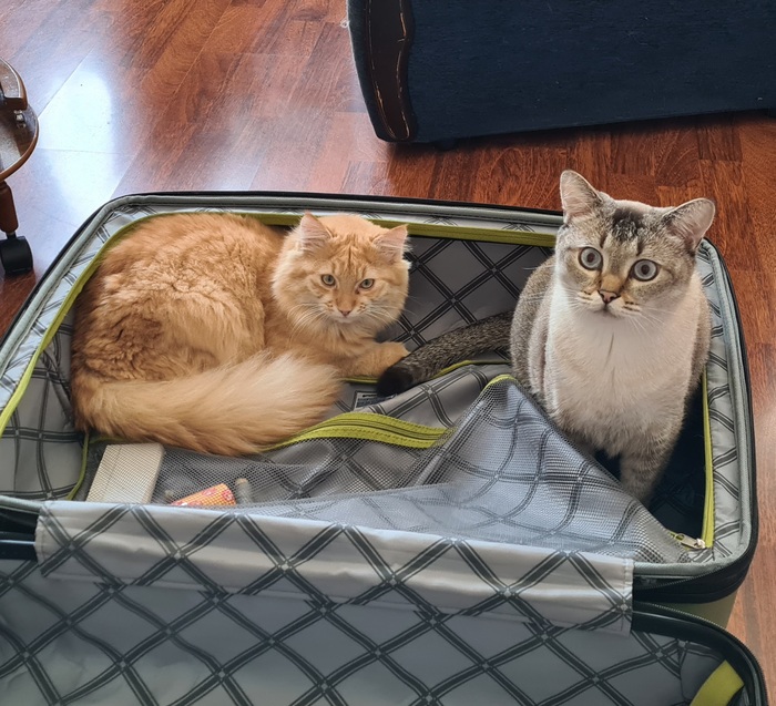 ������ ���� � ������������? �����, ������ ��������� �������.