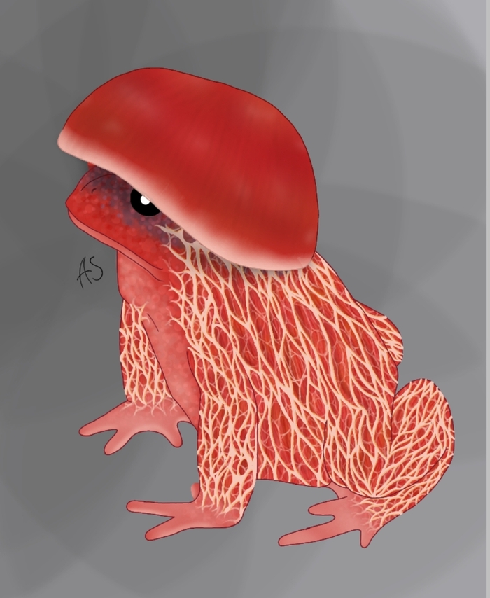 ������ ���������� :)