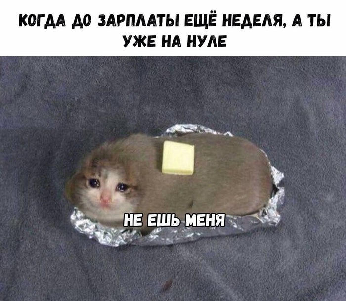 Безвыходная ситуация