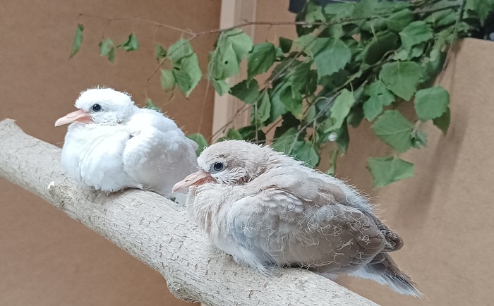 ����� ������ ��� ������ ��� ������