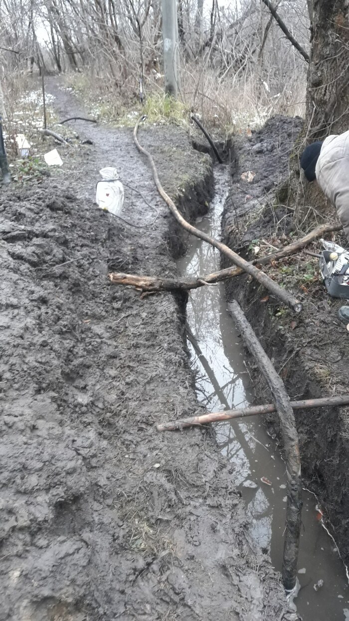 9 месяцев после "Слабаков и соплегонов" Истории из жизни, Работа, Эмоциональное выгорание, Негатив, Позитив, Жизнь, Отчет, Обновление, Автобиография, Кот, Котята, Длиннопост