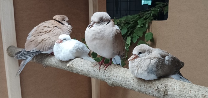 �������������� ����� ���� ������