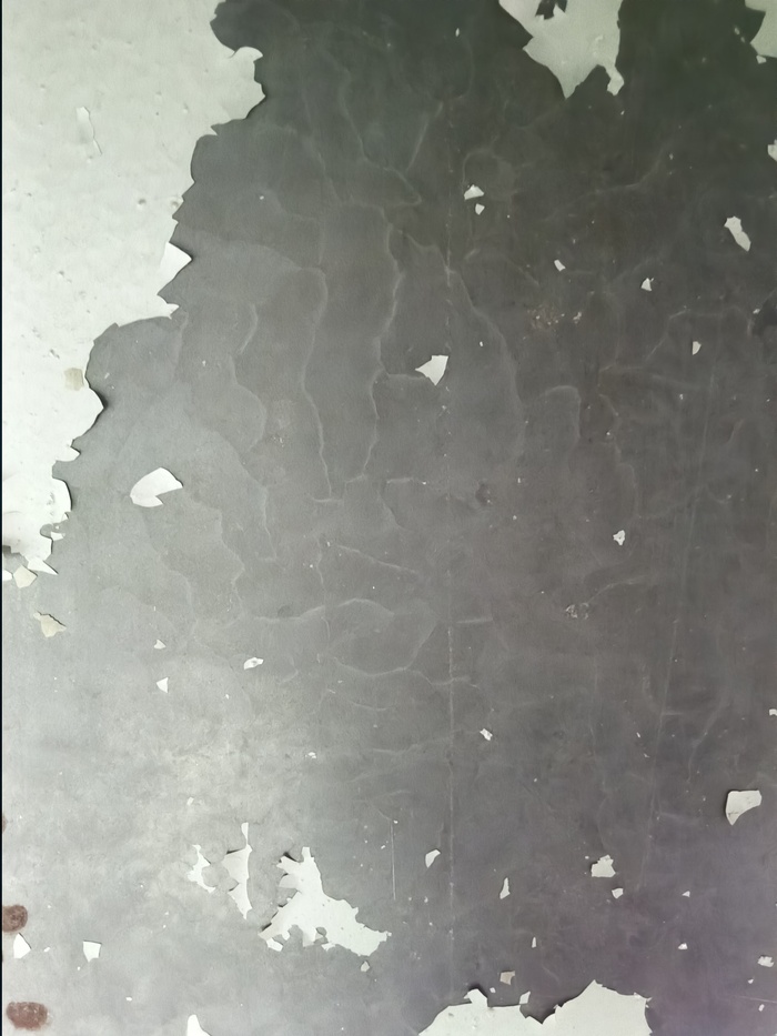 ,   ,     .    ,  . ..    ,        .    - 33.       . 