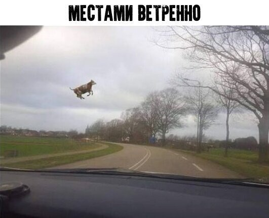 Даже очень...