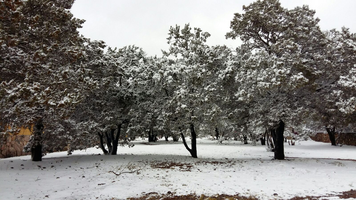 Максимум вот столько снега в обычные не аномальные годы