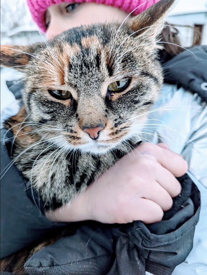 Зимняя Утка