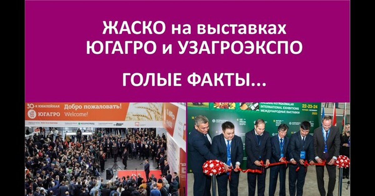 Что происходит на выставках сельхоз направления? | Пикабу