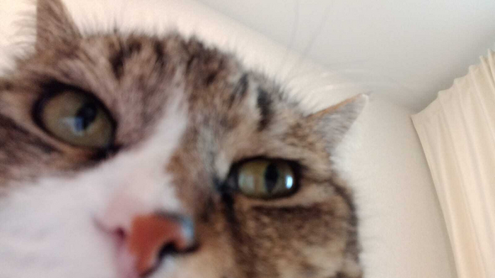 �������� �� ����...