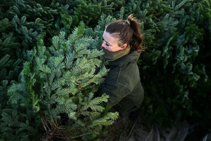     ,  , , 28  2023 . :  .