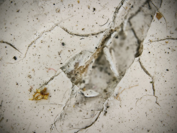 Грязный, потому что на этом месте стоял горшок с цветком