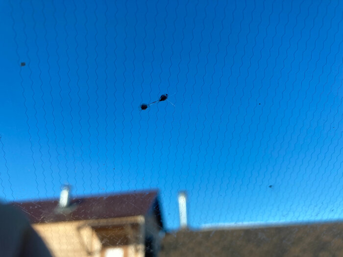   .   -   .   -          .   6 .  , ,   .